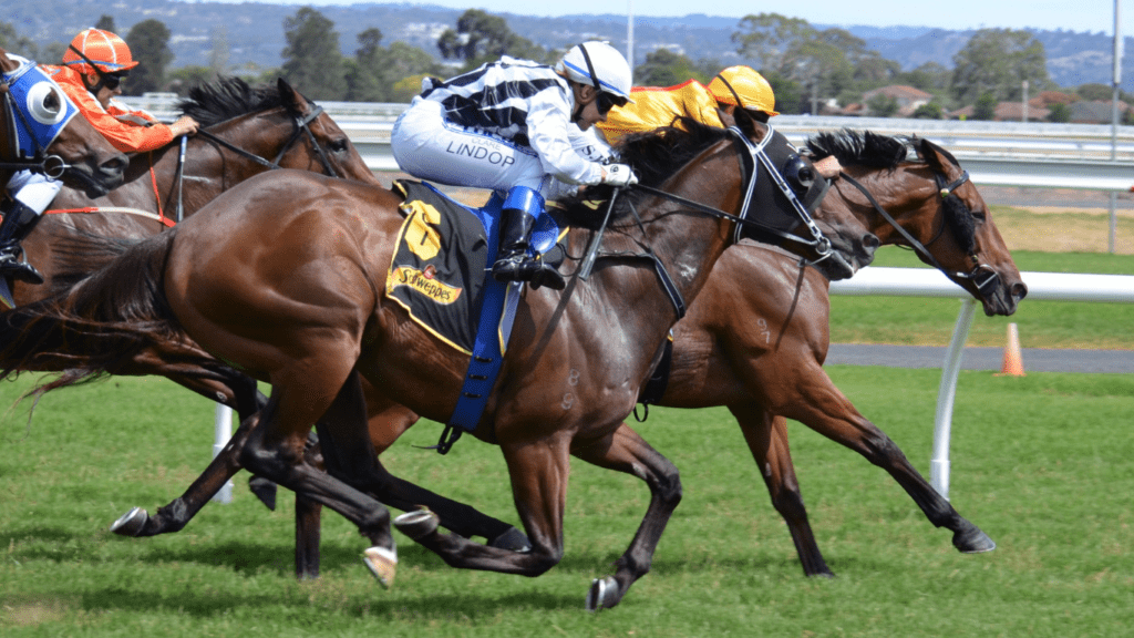 three jockeys are racing horses down the track