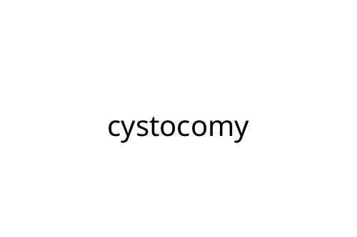 cystocomy