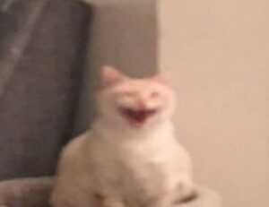 pc gaming chronotriggerpatchv19y32c1