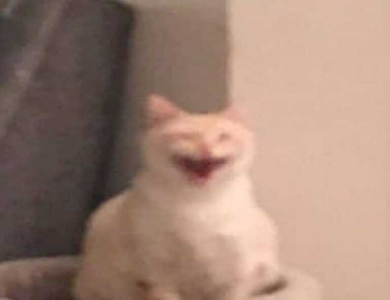 pc gaming chronotriggerpatchv19y32c1