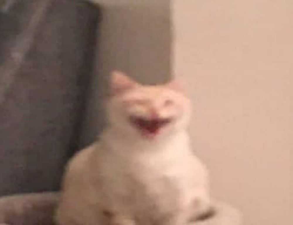 pc gaming chronotriggerpatchv19y32c1