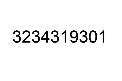 3234319301