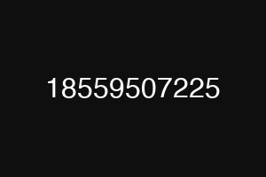 18559507225