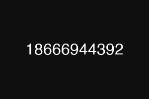 18666944392