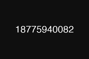 18775940082