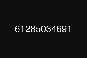 61285034691