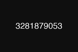 3281879053