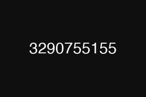 3290755155