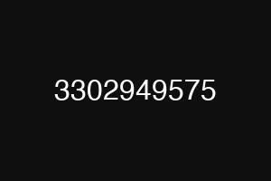 3302949575