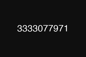3333077971