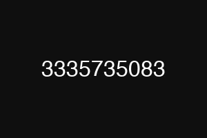 3335735083