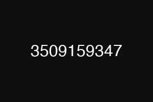 3509159347