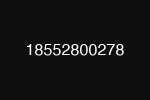 18552800278
