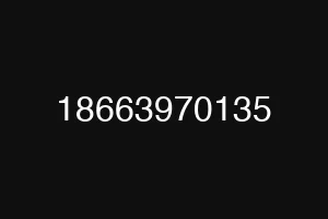 18663970135