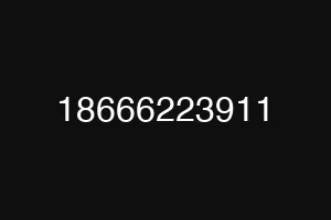 18666223911