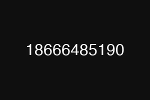 18666485190