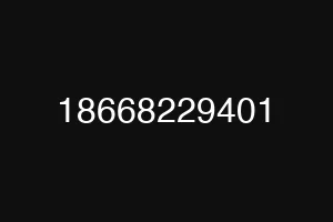 18668229401