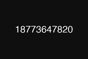 18773647820