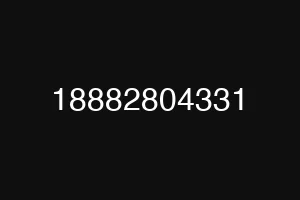 18882804331