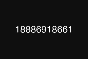 18886918661
