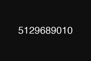5129689010