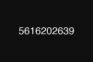 5616202639