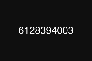 6128394003