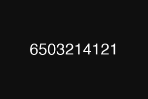 6503214121