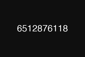 6512876118