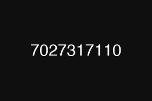 7027317110