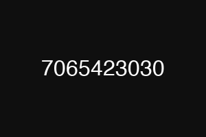 7065423030