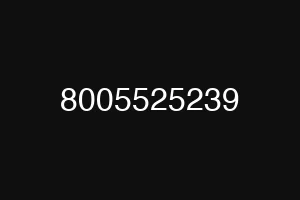 8005525239