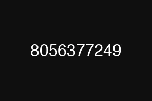 8056377249
