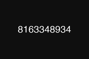 8163348934