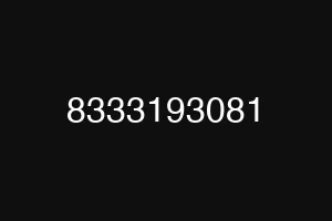8333193081
