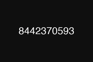 8442370593