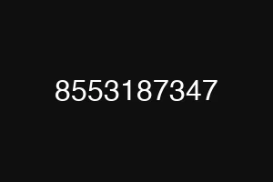 8553187347