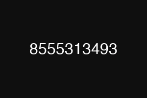 8555313493