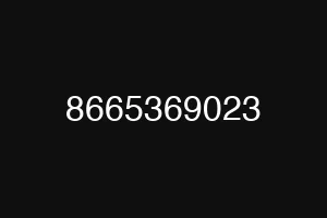 8665369023