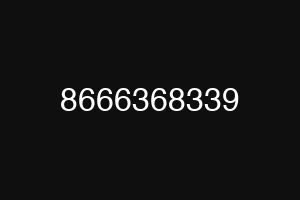 8666368339
