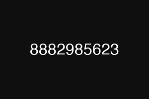 8882985623