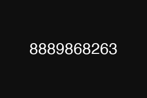 8889868263