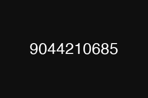 9044210685